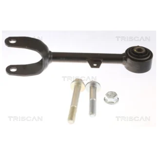Oberer Tragarm der Hinterachse, hinten - TRISCAN - Tesla Model 3 / Y