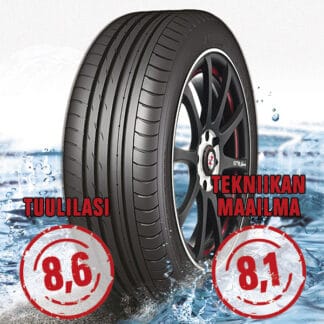 Nankang Sportnex AS-2+ TM- ja Tuulilasi-testimenestys 245/35R21 96Y - Tesla Model S
